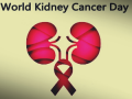 Healthy BMI, no smoking effective ways to reduce risk of kidney cancer: Experts - Hindi News | Healthy BMI, no smoking effective ways to reduce risk of kidney cancer: Experts | Latest health News at Lokmattimes.com