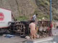 Major Crash on Jammu-Srinagar Highway as Dumper Triggers Pileup, Traffic Disrupted - Hindi News | Major Crash on Jammu-Srinagar Highway as Dumper Triggers Pileup, Traffic Disrupted | Latest national News at Lokmattimes.com