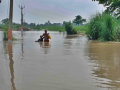 Rising Ganga River Puts Bhagalpur Villagers in Bihar on High Alert for Severe Flooding - Hindi News | Rising Ganga River Puts Bhagalpur Villagers in Bihar on High Alert for Severe Flooding | Latest national News at Lokmattimes.com