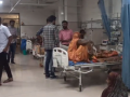Gujarat: Chandipura virus spreads to Patan, child in critical condition - Hindi News | Gujarat: Chandipura virus spreads to Patan, child in critical condition | Latest health News at Lokmattimes.com