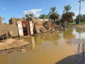 Death Toll Soars to 53 As Sudan Battles Heavy Rains - Hindi News | Death Toll Soars to 53 As Sudan Battles Heavy Rains | Latest international News at Lokmattimes.com