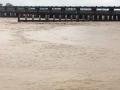 Bihar: Rising Gandak River Levels and Soil Erosion Increase Flood Threat in West Champaran, Embankment at Risk - Hindi News | Bihar: Rising Gandak River Levels and Soil Erosion Increase Flood Threat in West Champaran, Embankment at Risk | Latest national News at Lokmattimes.com