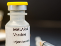 Nigeria rolls out new malaria vaccine - Hindi News | Nigeria rolls out new malaria vaccine | Latest health News at Lokmattimes.com