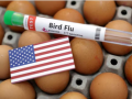 US CDC confirms H5N1 bird flu infection in child in California - Hindi News | US CDC confirms H5N1 bird flu infection in child in California | Latest health News at Lokmattimes.com