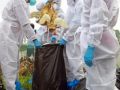 First human bird flu death in US reported - Hindi News | First human bird flu death in US reported | Latest health News at Lokmattimes.com