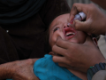 Anti-polio campaign kicks off in Afghanistan - Hindi News | Anti-polio campaign kicks off in Afghanistan | Latest health News at Lokmattimes.com