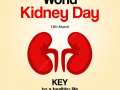 World Kidney Day: Crucial to raise awareness on early detection, says JP Nadda - Hindi News | World Kidney Day: Crucial to raise awareness on early detection, says JP Nadda | Latest health News at Lokmattimes.com