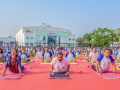 30k organisations register for Yoga Sangam 2025: Ayush Ministry - Hindi News | 30k organisations register for Yoga Sangam 2025: Ayush Ministry | Latest health News at Lokmattimes.com