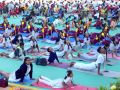 Over 20 lakh to perform yoga in Haryana on June 21 - Hindi News | Over 20 lakh to perform yoga in Haryana on June 21 | Latest health News at Lokmattimes.com
