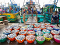 Identifying state-specific species key to boost India’s seafood exports: Minister - Hindi News | Identifying state-specific species key to boost India’s seafood exports: Minister | Latest technology News at Lokmattimes.com