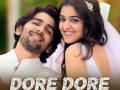 'Dore Dore Dil Pe Tere' from Heer Express makes for a perfect wedding album - Hindi News | 'Dore Dore Dil Pe Tere' from Heer Express makes for a perfect wedding album | Latest entertainment News at Lokmattimes.com