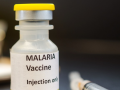India developing indigenous multi-stage Malaria vaccine 'AdFalciVax' - Hindi News | India developing indigenous multi-stage Malaria vaccine 'AdFalciVax' | Latest health News at Lokmattimes.com