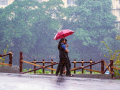 Heavy rain to persist in Kerala; IMD issues yellow alert for multiple districts - Hindi News | Heavy rain to persist in Kerala; IMD issues yellow alert for multiple districts | Latest national News at Lokmattimes.com
