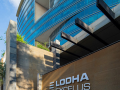 Lodha Developers’ net profit falls 27 pc sequentially, revenue also declines - Hindi News | Lodha Developers’ net profit falls 27 pc sequentially, revenue also declines | Latest business News at Lokmattimes.com