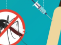 Phase III clinical trial for India’s 1st dengue vaccine hits 70pc enrolment mark: Minister - Hindi News | Phase III clinical trial for India’s 1st dengue vaccine hits 70pc enrolment mark: Minister | Latest health News at Lokmattimes.com