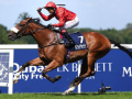 India's Suraj Narredu makes history with Shergar Cup 2025 win at Ascot - Hindi News | India's Suraj Narredu makes history with Shergar Cup 2025 win at Ascot | Latest other-sports News at Lokmattimes.com