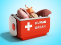 TN woman alleges organ removal, probe ordered - Hindi News | TN woman alleges organ removal, probe ordered | Latest health News at Lokmattimes.com