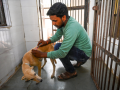 Salem leads TN in dog bite cases with 4 rabies deaths in 2025 - Hindi News | Salem leads TN in dog bite cases with 4 rabies deaths in 2025 | Latest national News at Lokmattimes.com