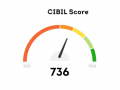CIBIL receives over 22 lakh complaints in 2024-25, 5.8 lakh due to its errors - Hindi News | CIBIL receives over 22 lakh complaints in 2024-25, 5.8 lakh due to its errors | Latest technology News at Lokmattimes.com