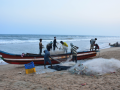 Migrant labourers form backbone of Kerala's marine fisheries: CMFRI study - Hindi News | Migrant labourers form backbone of Kerala's marine fisheries: CMFRI study | Latest technology News at Lokmattimes.com