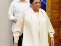 Mayawati revokes expulsion of Akash Anand’s father-in-law Ashok Siddharth, reinstates him in BSP - Hindi News | Mayawati revokes expulsion of Akash Anand’s father-in-law Ashok Siddharth, reinstates him in BSP | Latest national News at Lokmattimes.com