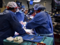 TN revamps organ transplant oversight committees amid rising concerns - Hindi News | TN revamps organ transplant oversight committees amid rising concerns | Latest health News at Lokmattimes.com