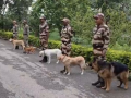 Bihar Police dog squad to get 30 specially trained dogs soon - Hindi News | Bihar Police dog squad to get 30 specially trained dogs soon | Latest national News at Lokmattimes.com