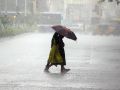 Heavy rain alert in several parts of MP as Monsoon trough re-activates - Hindi News | Heavy rain alert in several parts of MP as Monsoon trough re-activates | Latest national News at Lokmattimes.com