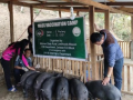 African swine fever outbreak in Mizoram: Over 9,380 pigs dead, 3,690 culled in seven months - Hindi News | African swine fever outbreak in Mizoram: Over 9,380 pigs dead, 3,690 culled in seven months | Latest health News at Lokmattimes.com