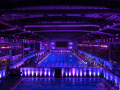 ‘All countries wear the flag on competition wear': SFI brushes off controversy over tricolour on swimming trunks - Hindi News | ‘All countries wear the flag on competition wear': SFI brushes off controversy over tricolour on swimming trunks | Latest other-sports News at Lokmattimes.com