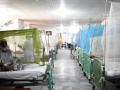 Rising dengue cases in hospitals suggest outbreak-like situation in Pakistan's Karachi, Hyderabad - Hindi News | Rising dengue cases in hospitals suggest outbreak-like situation in Pakistan's Karachi, Hyderabad | Latest health News at Lokmattimes.com