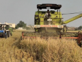 Haryana: Govt subsidy on agri equipments contained stubble burning to great deal, say farmers - Hindi News | Haryana: Govt subsidy on agri equipments contained stubble burning to great deal, say farmers | Latest business News at Lokmattimes.com