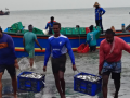 Nationwide marine fisheries census to begin on Friday - Hindi News | Nationwide marine fisheries census to begin on Friday | Latest technology News at Lokmattimes.com