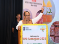 Govt promises strict action against counterfeit seeds and pesticides - Hindi News | Govt promises strict action against counterfeit seeds and pesticides | Latest technology News at Lokmattimes.com