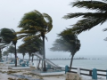 Hurricane Melissa claims at least 75 lives, impacts nearly 5 million people in Caribbean - Hindi News | Hurricane Melissa claims at least 75 lives, impacts nearly 5 million people in Caribbean | Latest international News at Lokmattimes.com