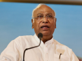 Mahagathbandhan will free Bihar from 20 years of a helpless system: Cong chief - Hindi News | Mahagathbandhan will free Bihar from 20 years of a helpless system: Cong chief | Latest national News at Lokmattimes.com
