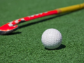 Top teams to take part in sub-junior women's hockey academy championship in Karnal - Hindi News | Top teams to take part in sub-junior women's hockey academy championship in Karnal | Latest other-sports News at Lokmattimes.com