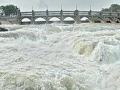 TN farmers reject K'taka Dy CM's assurance on Mekedatu dam, urge CM Stalin to ensure daily Cauvery release - Hindi News | TN farmers reject K'taka Dy CM's assurance on Mekedatu dam, urge CM Stalin to ensure daily Cauvery release | Latest national News at Lokmattimes.com