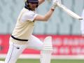 If Smith was to retire, Handscomb could be stable No. 4 in Tests: Chris Rogers - Hindi News | If Smith was to retire, Handscomb could be stable No. 4 in Tests: Chris Rogers | Latest other-sports News at Lokmattimes.com