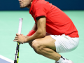 Carlos Alcaraz withdraws from Davis Cup Finals due to injury - Hindi News | Carlos Alcaraz withdraws from Davis Cup Finals due to injury | Latest other-sports News at Lokmattimes.com
