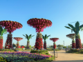 Gujarat: Ahmedabad flower show 2026 to dazzle Sabarmati Riverfront - Hindi News | Gujarat: Ahmedabad flower show 2026 to dazzle Sabarmati Riverfront | Latest national News at Lokmattimes.com