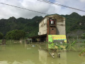 Death toll rises to 55 in Vietnam floods - Hindi News | Death toll rises to 55 in Vietnam floods | Latest international News at Lokmattimes.com