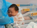 Childbirths rise in South Korea for 15th month in September: Report - Hindi News | Childbirths rise in South Korea for 15th month in September: Report | Latest international News at Lokmattimes.com
