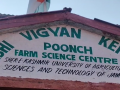 Organic farming gains momentum in Poonch: Farmers embrace sustainable agriculture - Hindi News | Organic farming gains momentum in Poonch: Farmers embrace sustainable agriculture | Latest business News at Lokmattimes.com
