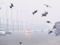 Air pollution can heighten anxiety and trigger panic-like symptoms: Doctors - Hindi News | Air pollution can heighten anxiety and trigger panic-like symptoms: Doctors | Latest technology News at Lokmattimes.com