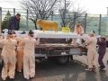 'Bull of peace' laid to rest in South Korea after drifting from North Korea in 1996 flood - Hindi News | 'Bull of peace' laid to rest in South Korea after drifting from North Korea in 1996 flood | Latest international News at Lokmattimes.com