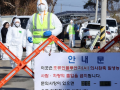 S. Korea confirms 8th highly contagious bird flu case of season - Hindi News | S. Korea confirms 8th highly contagious bird flu case of season | Latest health News at Lokmattimes.com