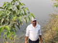 Farmer Amarendra's success in pigeon-pea cultivation inspires rural Bihar - Hindi News | Farmer Amarendra's success in pigeon-pea cultivation inspires rural Bihar | Latest national News at Lokmattimes.com