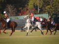The Gwalior Cup: Jaipur Polo advance to final with a 6.5 - 5 victory over Bedla Polo - Hindi News | The Gwalior Cup: Jaipur Polo advance to final with a 6.5 - 5 victory over Bedla Polo | Latest other-sports News at Lokmattimes.com
