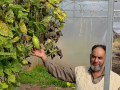 J&K: Ramban farmer sets example in modern farming, inspires fellow villagers - Hindi News | J&K: Ramban farmer sets example in modern farming, inspires fellow villagers | Latest business News at Lokmattimes.com